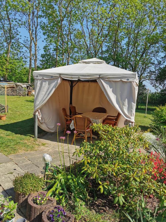Ferienwohnung Am Stadtrand Garz Ruegen ภายนอก รูปภาพ